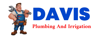 Trusted plumber in COUPEVILLE